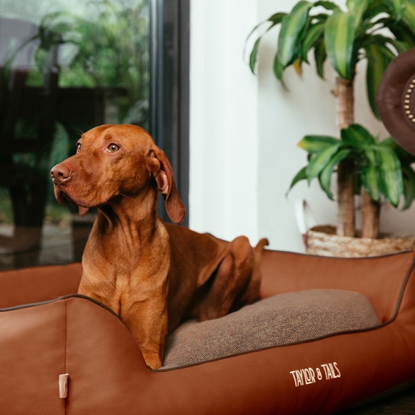 Raised Dog Bed Etsy UK