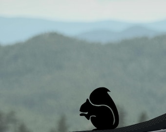 Vinylsticker eekhoorn voor auto, raam, bidon en laptop