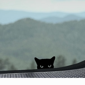 Puede incluir: Silueta de gato negro asom&aacute;ndose por la ventana de un coche, con un fondo borroso de monta&ntilde;as.