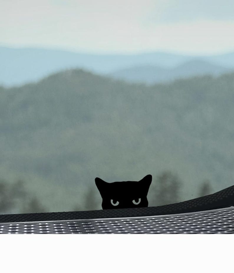 Puede incluir: Silueta de gato negro asom&aacute;ndose por la ventana de un coche, con un fondo borroso de monta&ntilde;as.