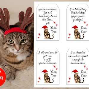 Funny Editable Cat Christmas Gift Tags, Christmas Present Tags From Cat, Xmas Present Pet Tag, Cat Lover Gift, Gifts From Cat, Cat Gifts
