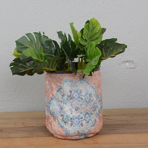 May include: A decorative cylindrical planter with a peach-colored background and a blue and white floral design. The planter holds vibrant green leafy plants. The planter sits on a wooden surface.