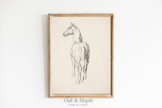 Vintage Farmhouse Wall Decor | Horse Sketch | Country Art Print | PRINTABLE | 179