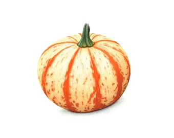 Stripey Pumpkin - Fine Art Print