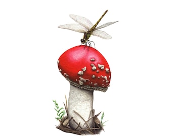 Dragonfly on Fly Agaric Mushroom - Fine Art Print