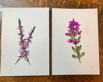 Pair of Scottish Heather Prints