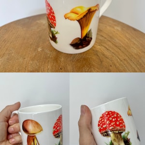 Mug 8 Scottish Designs Wild Mushrooms