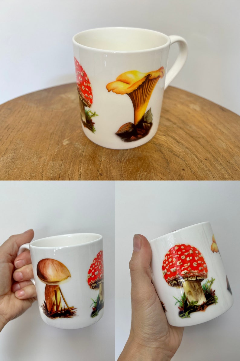 Mug 8 Scottish Designs Wild Mushrooms