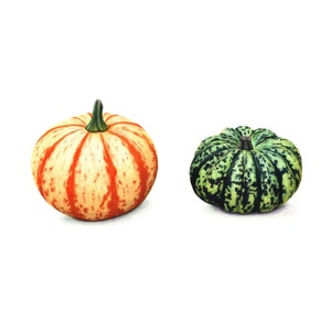 Pair of Pumpkins - Fine Art Print