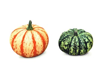 Pair of Pumpkins - Fine Art Print