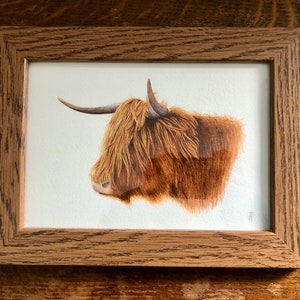 Highland Coo Fine Art Print image 3