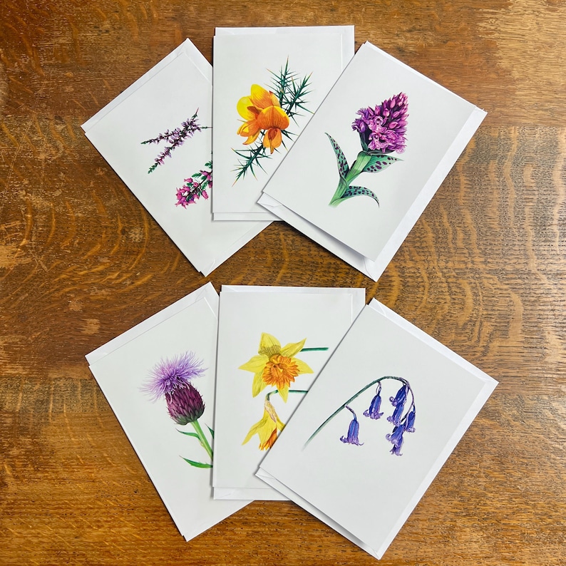 Notecards - Scottish Wildflowers - Set of 6 Blank Cards - Etsy