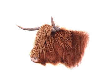 Highland Coo - Fine Art Print