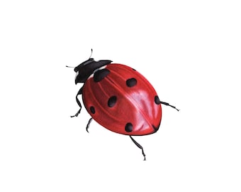 Ladybird - Fine Art Print