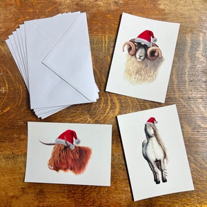 Set van 6 kerstkaarten met enveloppen (3 ontwerpen)