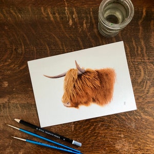 Highland Coo Fine Art Print image 2