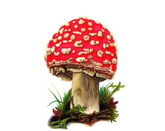 Fly Agaric Mushroom - Fine Art Print