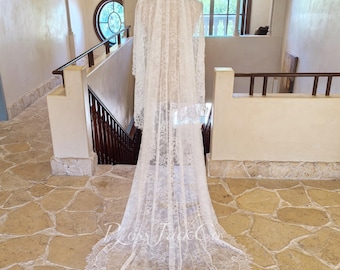 Eyelash Lace Wedding Veil, Mantilla Veil Chantilly Lace, Fairy Mantilla Veil Chantilly Lace, Veil Cathedral, Bridal Headpiece