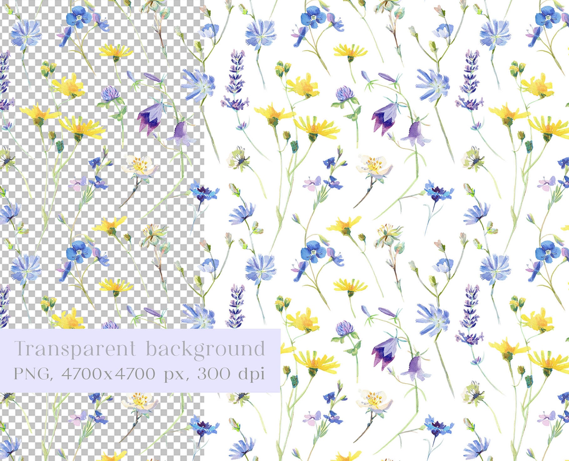 Wild Flower Seamless Pattern Meadow Summer Flowers Surface Design ...