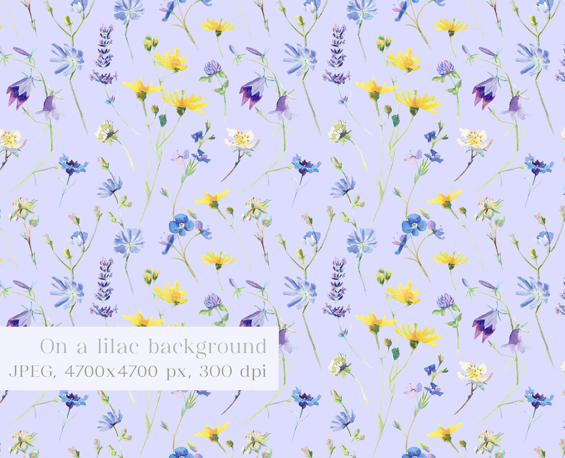 Wild Flower Seamless Pattern Meadow Summer Flowers Surface Design ...