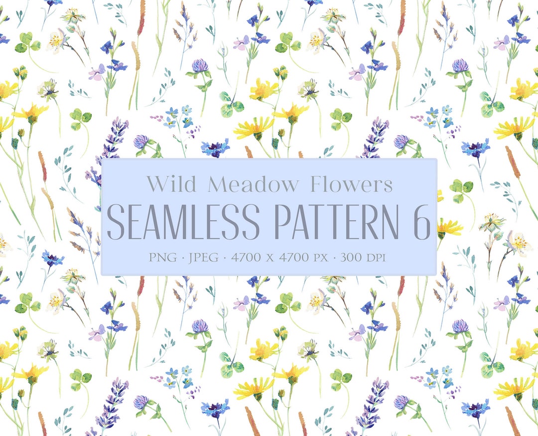 Wild Flowers Seamless Pattern Summer Meadow Flower Floral Surface ...