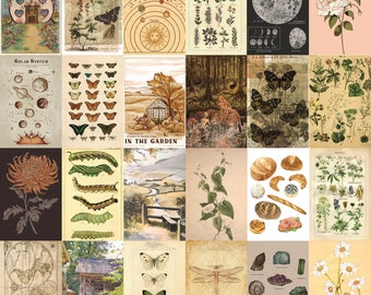 Cottagecore Prints Wall Collage Kit, Vintage Art (Digital Download
