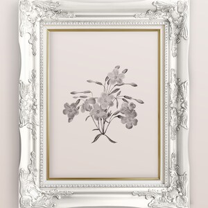 Botanical Cottagecore Plants Sketch, Botanical Fairycore Wall Art, Neutral Plants Drawing, Botanical Art, Farmhouse Decor, DIGITAL DOWNLOAD