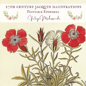 8 Nicolas Joseph Jacquin botanical illustrations, 18th century, printable, ephemera, collage, journal, craft, INSTANT DOWNLOAD