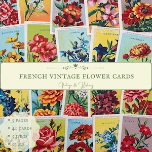 Assorted French vintage flower cards, 1950s, many different flowers and colours, printable digital dowload paper ephemera from France