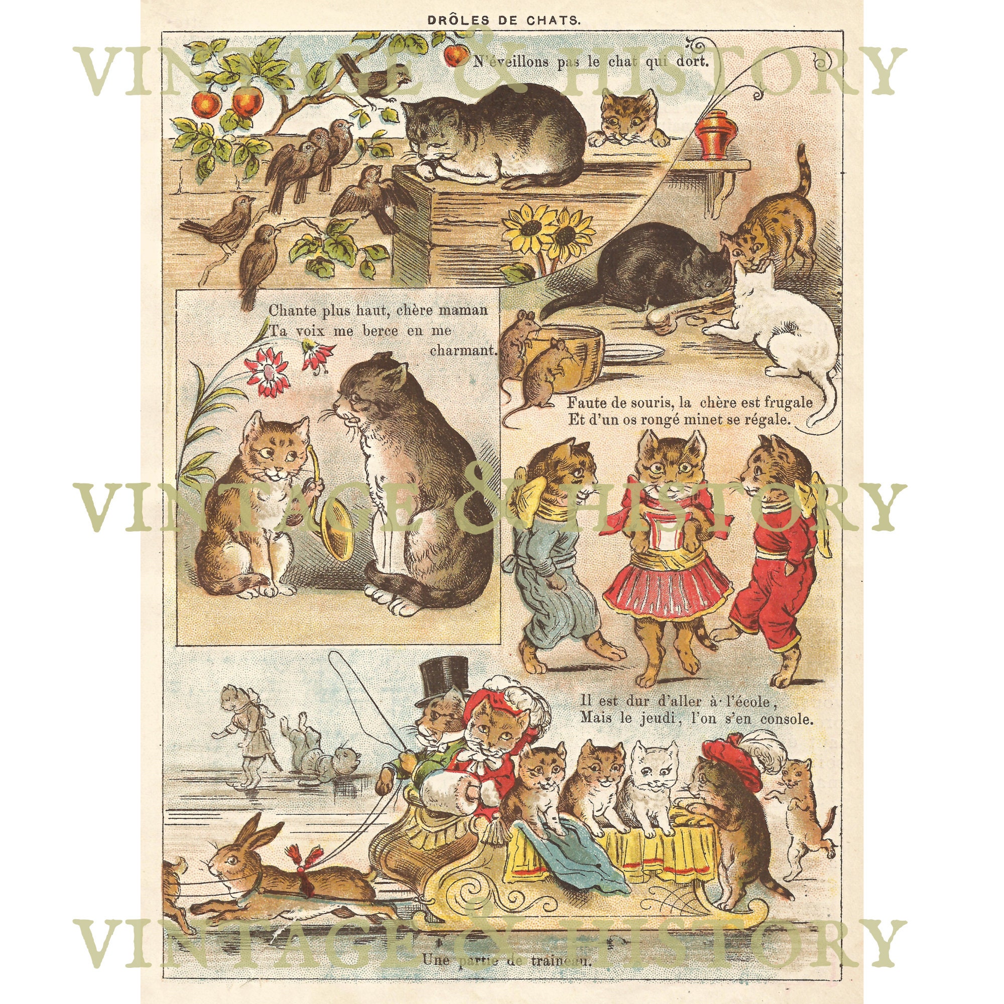 😻 Trop Trop Chouuuu ‼️ Quand Ziggy se dresse lorsqu'il voit une  Bande-Annonce pour jeudi soir 😹💕 Bonne soirée de dimanche à tous ✨  #léomattei #ziggy @TF1, image size:2000x2000