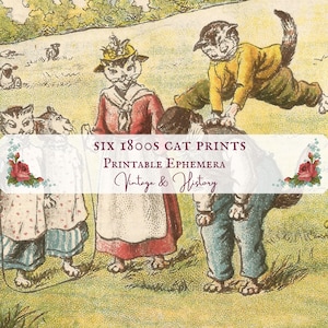 Collection of 6 Cat images, French children&#39;s classic book prints, 19th century, Petit Journal des Enfants, framing, INSTANT DOWNLOAD