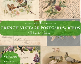 May include: A collection of 16 vintage French postcards featuring birds. The postcards are in various colours and feature different species of birds. The postcards are in good condition and would make a great addition to any bird lover's collection.