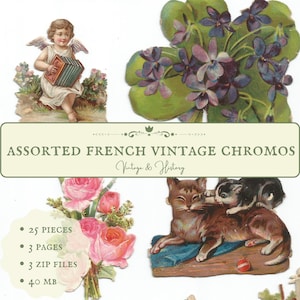 Cromos vintage variados, cromolitografías del siglo XIX, efímeras vintage en papel imprimible de Francia, suministros para diarios digitales, DESCARGA INSTANTÁNEA
