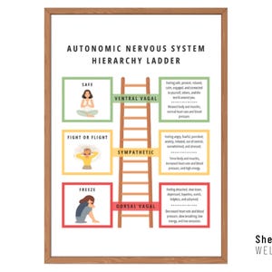 Polyvagal Theory, Nervous System Regulation, Vagus Nerve, Therapy Worksheets, Somatic Therapy, DBT Skills, Mental Health, School Counselor