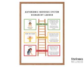 Polyvagal-Theorie, Regulation des Nervensystems, Vagusnerv, Therapie-Arbeitsblätter, Somatische Therapie, DBT-Fähigkeiten, Mentale Gesundheit, Schulratgeber