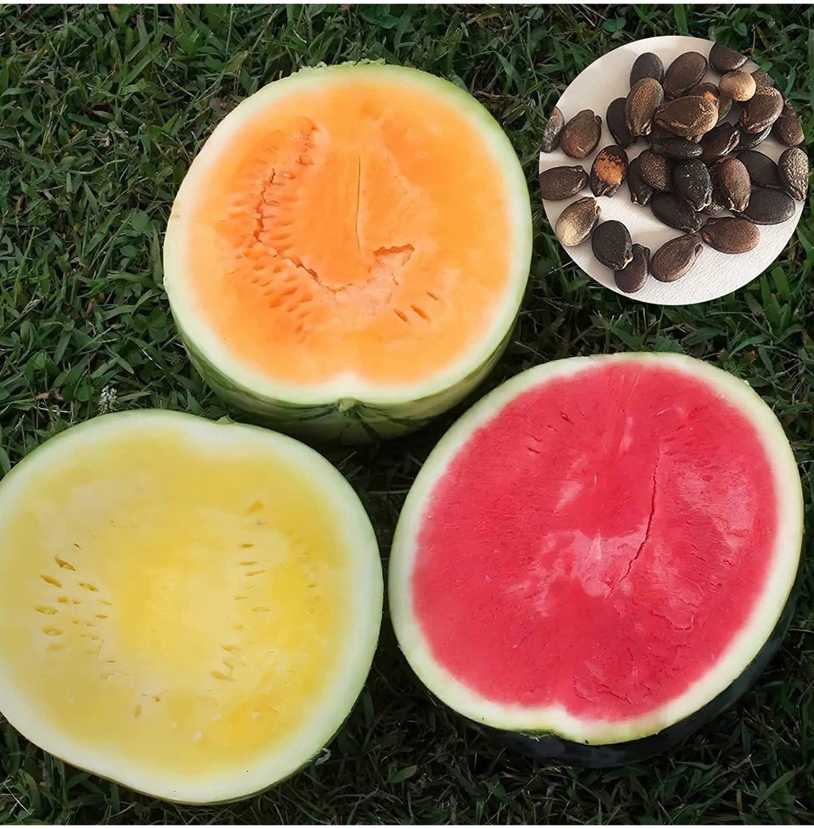 Orangeglo Watermelon Seeds: Rare Heirloom Variety - Etsy
