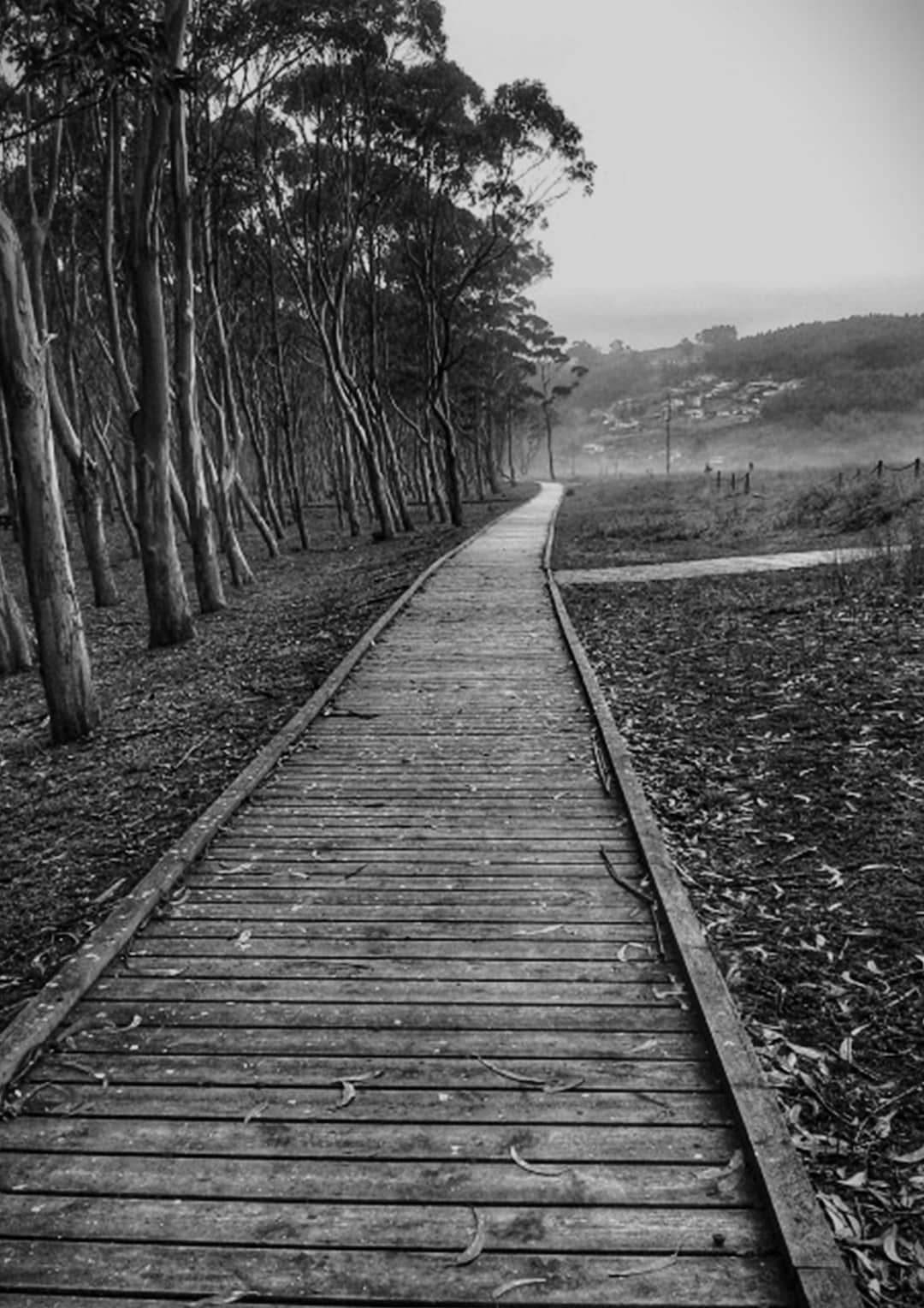 Path Sheet - Etsy