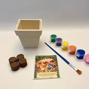 May include: A craft kit for planting wildflowers. The kit includes a white wooden planter, a packet of wildflower seeds, a paintbrush, and six small pots of paint in green, purple, yellow, orange, blue, and pink.