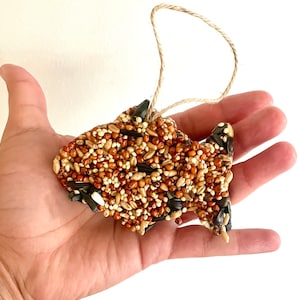 May include: A brown and black bird feeder shaped like a fish, made of birdseed and sunflower seeds, hanging from a twine string.