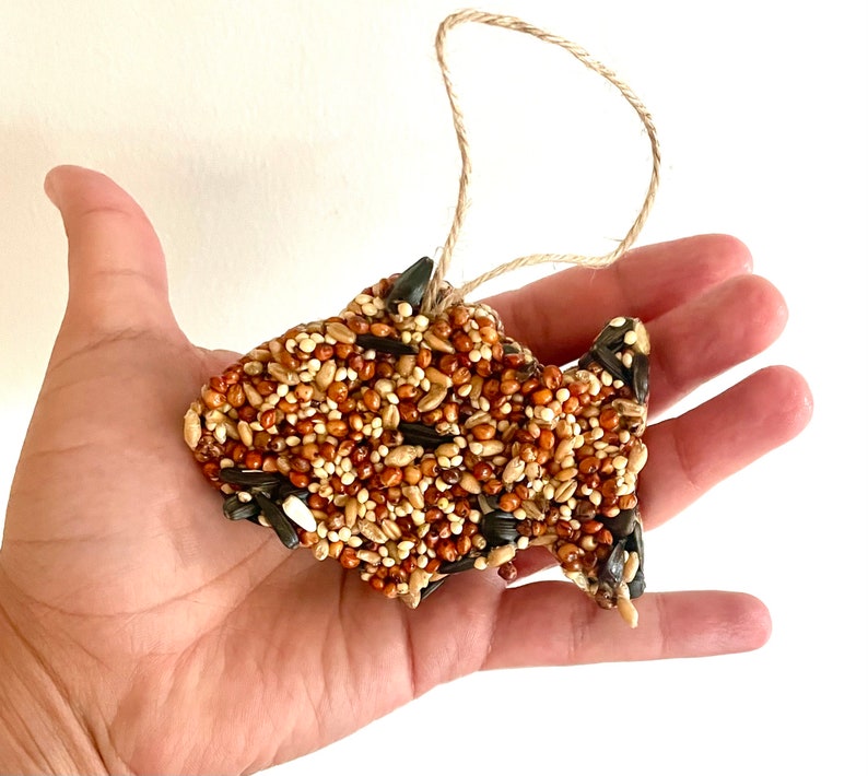 May include: A brown and black bird feeder shaped like a fish, made of birdseed and sunflower seeds, hanging from a twine string.