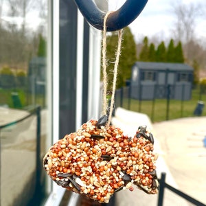 Kids DIY bird feeder kit, Kids craft kit, DIY gifts for kids, Summer activities, kids nature DIY, screen free activities,kids Christmas gift image 7