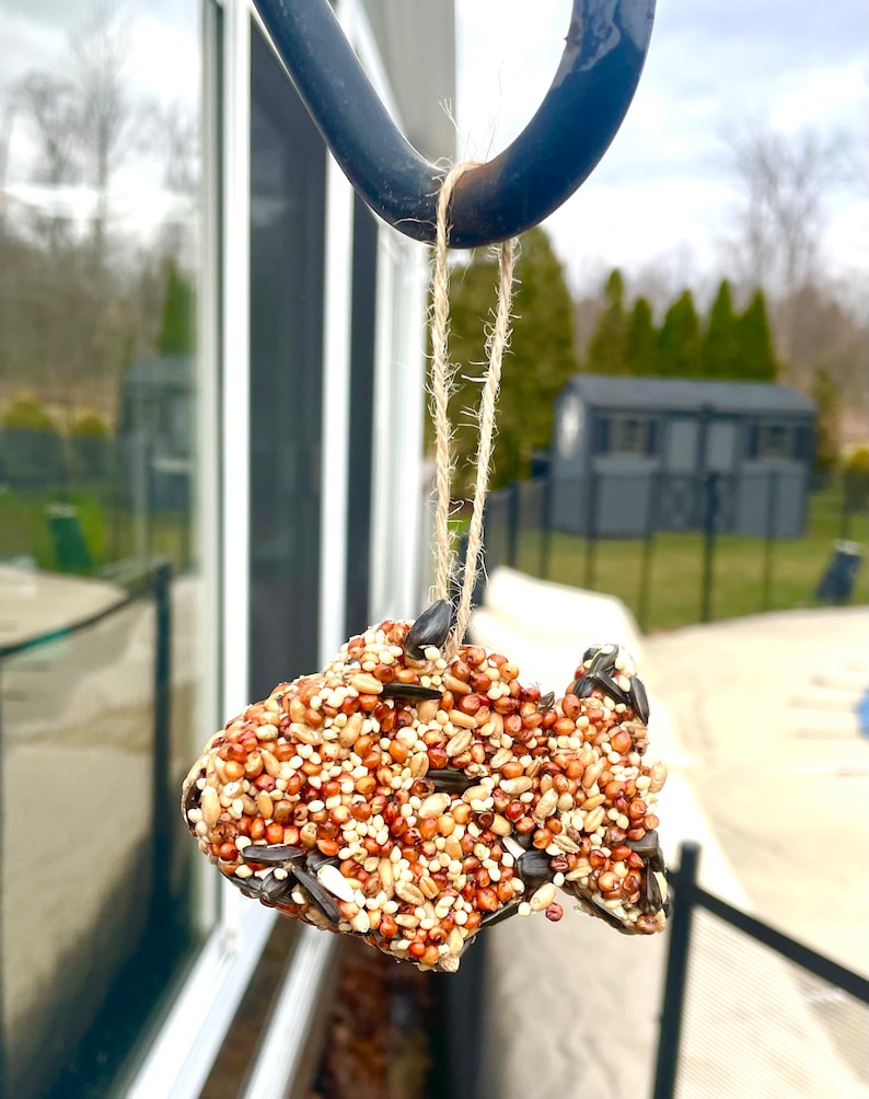 Kids DIY bird feeder kit, Kids craft kit, DIY gifts for kids, Summer activities, kids nature DIY, screen free activities,kids Christmas gift image 7
