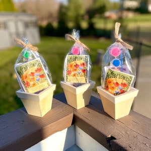 May include: Three small, white, wooden planter pots with a brown wash. Each pot contains a packet of wildflower seeds and a small bag of colorful beads. The packets have a vintage-style design with illustrations of wildflowers.