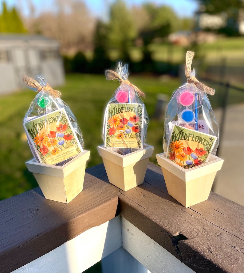 May include: Three small, white, wooden planter pots with a brown wash. Each pot contains a packet of wildflower seeds and a small bag of colorful beads. The packets have a vintage-style design with illustrations of wildflowers.