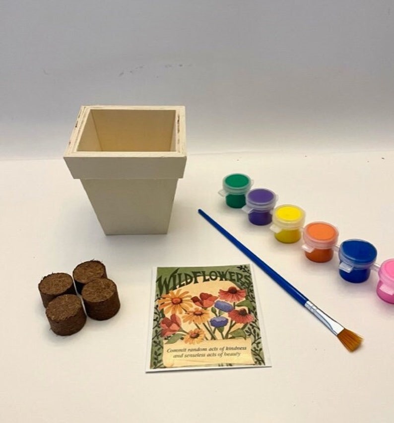 May include: A craft kit for planting wildflowers. The kit includes a white wooden planter, a packet of wildflower seeds, a paintbrush, and six small pots of paint in green, purple, yellow, orange, blue, and pink.