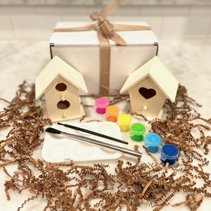 DIY kids bird house paint kit, nature,kids, crafts, kids gift ideas, kids educational, kids screen free activities, kids Christmas gift image 2