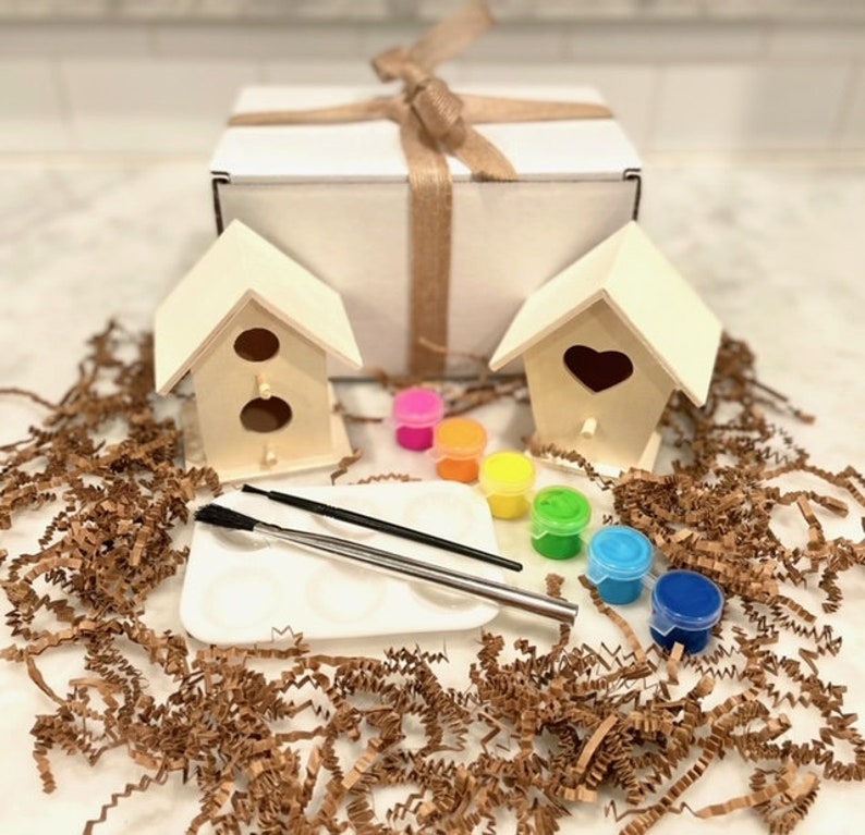 DIY Kids Bird House Paint Kit, Nature,kids, Crafts, Kids Gift Ideas, Kids Educational, Kids