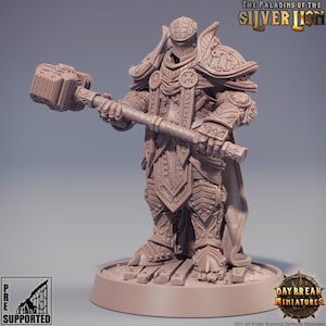 D&D Human Paladin/Cleric | Chlodvig du Marteau Lourd | 3D Printed Resin Miniature | 32mm | By Daybreak Miniatures