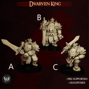 Dwarf King | D&D Paladins/Fighters | 3D Printed Resin Miniature | 32mm | By The Master Forge