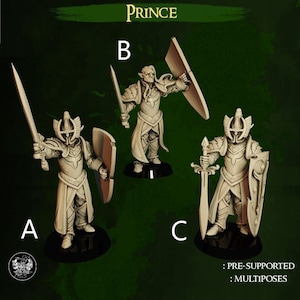 D&D Hochelfen Prinzen | Dungeons and Dragons | 28 mm/32 mm Miniatur | Von der Meisterschmiede